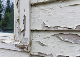 Why Paint Fails